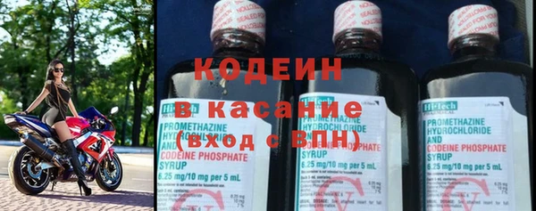 шишки Рославль