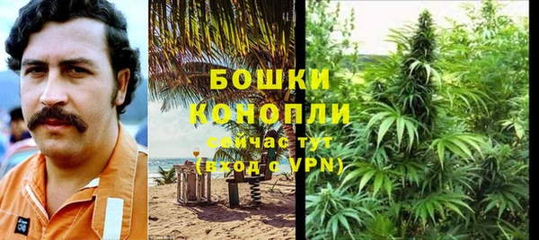 шишки Рославль