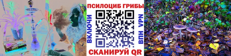 Галлюциногенные грибы мицелий Касимов