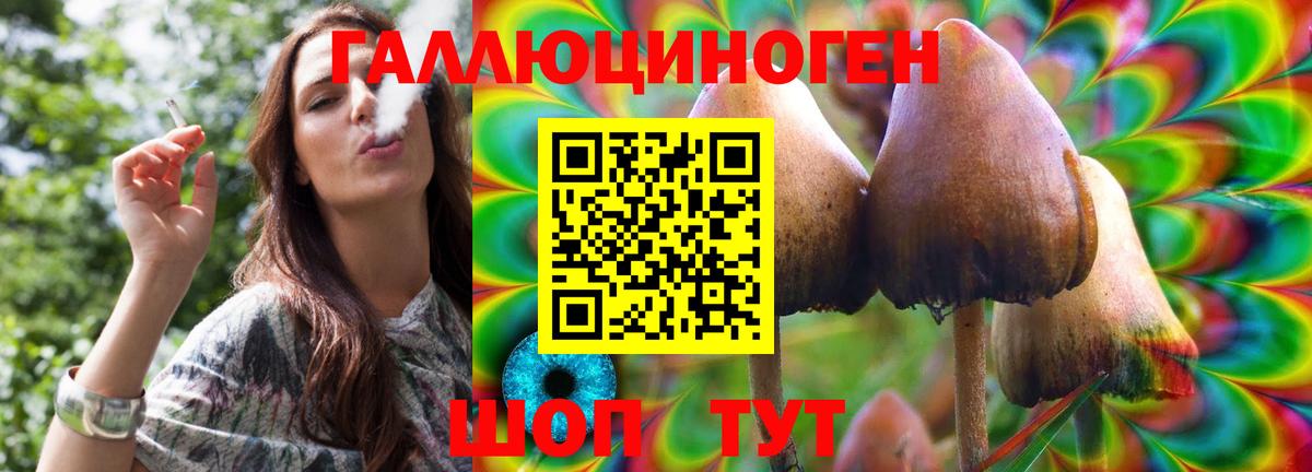 Псилоцибиновые грибы MAGIC MUSHROOMS Касимов